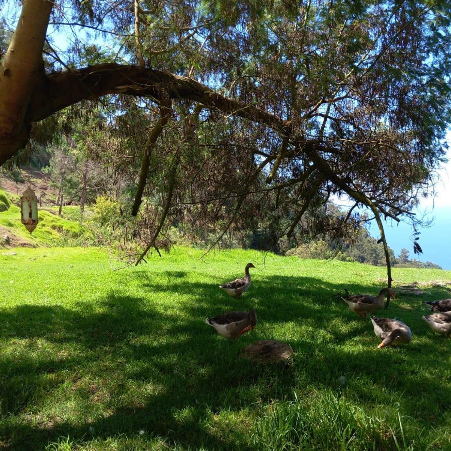 Arambha Ecovillage Farmstay Tabua  Buitenkant foto