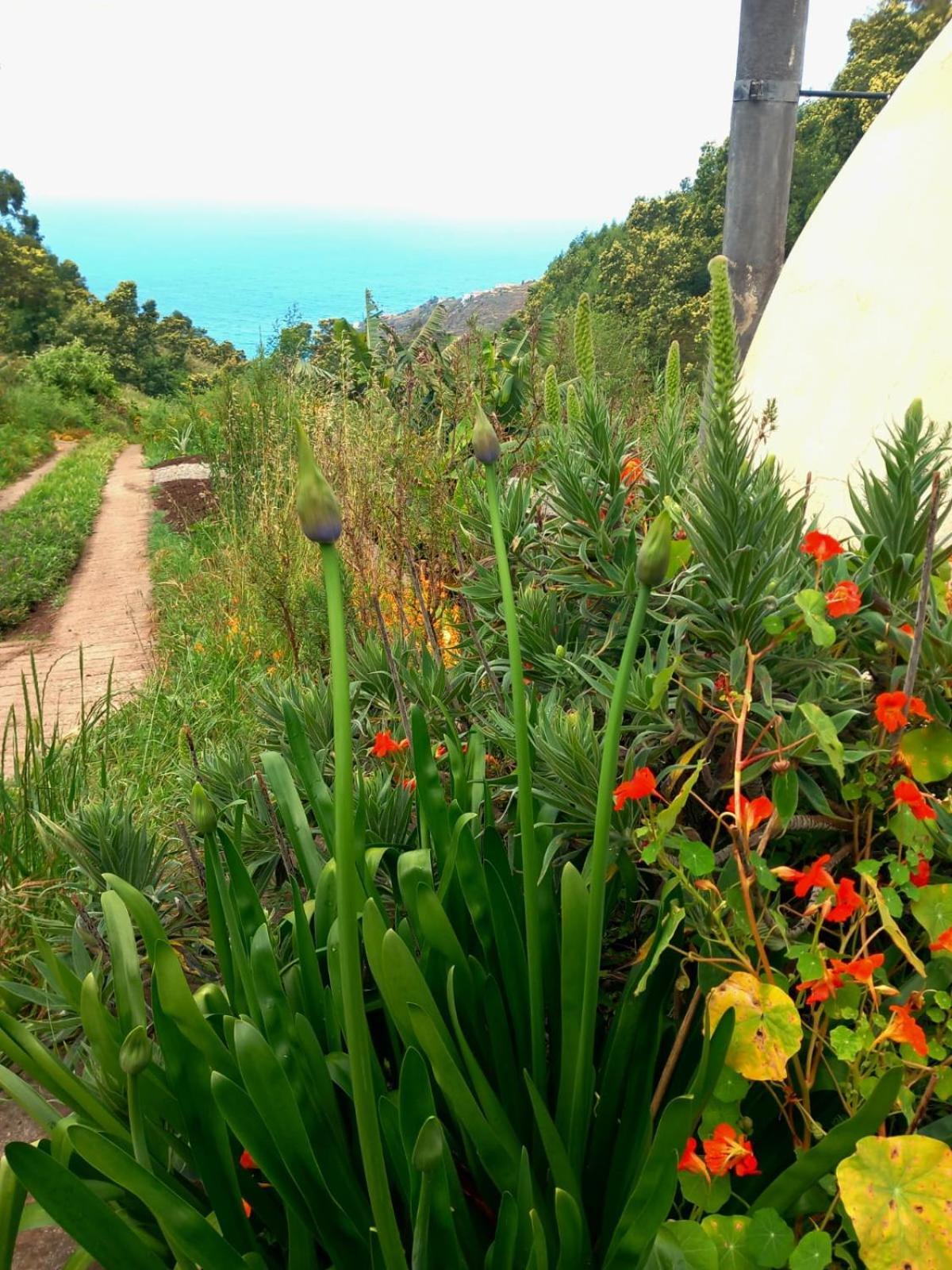 Arambha Ecovillage Farmstay Tabua  Buitenkant foto